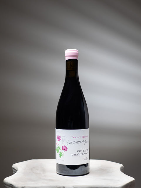 2020 Piollot Coteaux Champenois Rouge 'Les Petites Mains'
